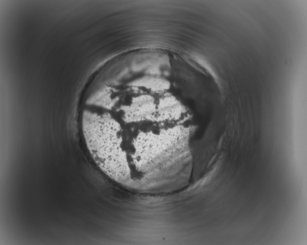 X0000088671071200706281917
