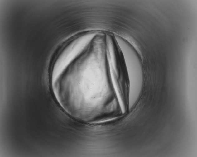 X0000088671072200706281917
