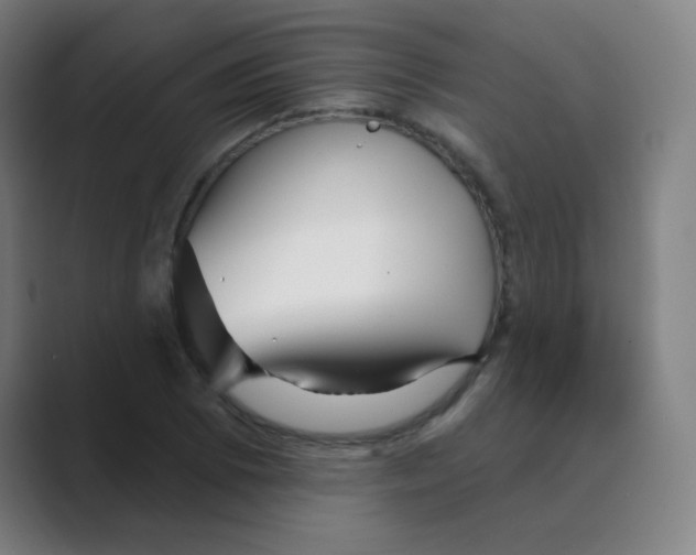 X0000088671073200706281917