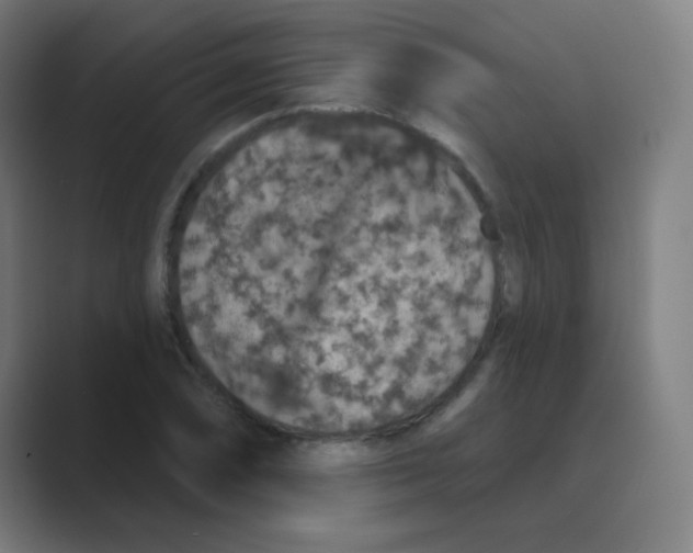 X0000088671074200706281917