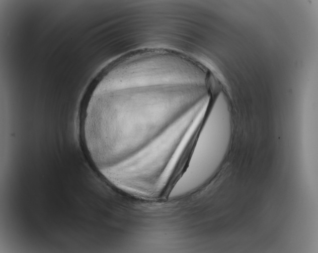 X0000088671076200706281917