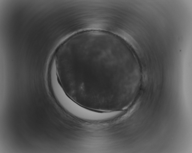 X0000088671077200706281917