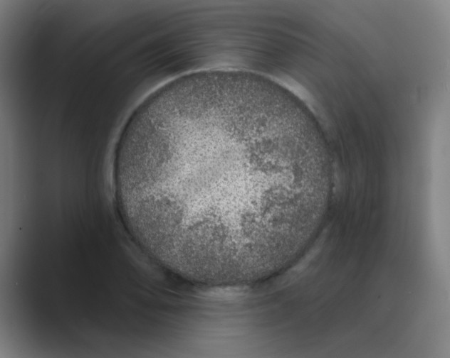 X0000088671078200706281917