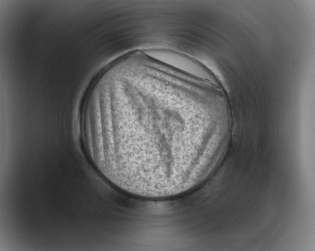 X0000088671080200706281917
