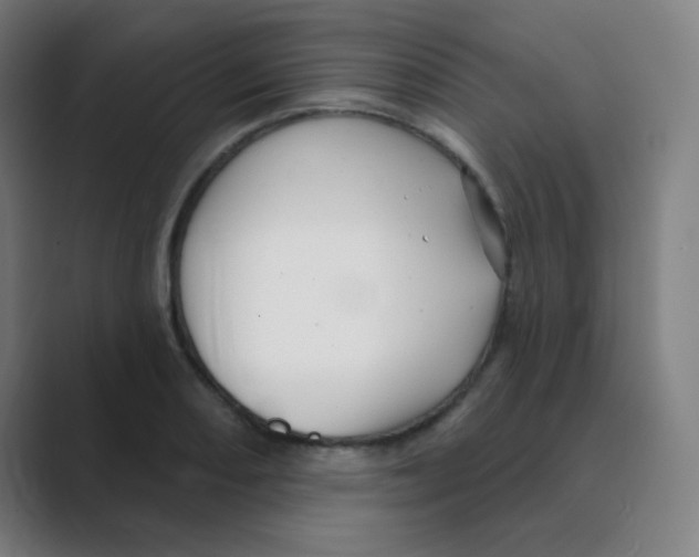 X0000088671082200706281917