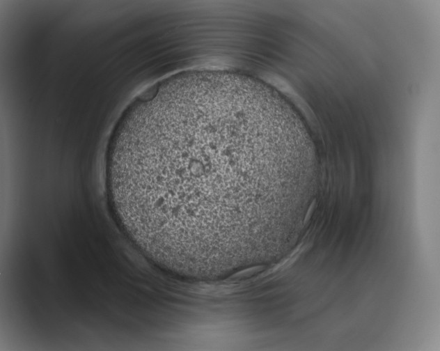 X0000088671083200706281917