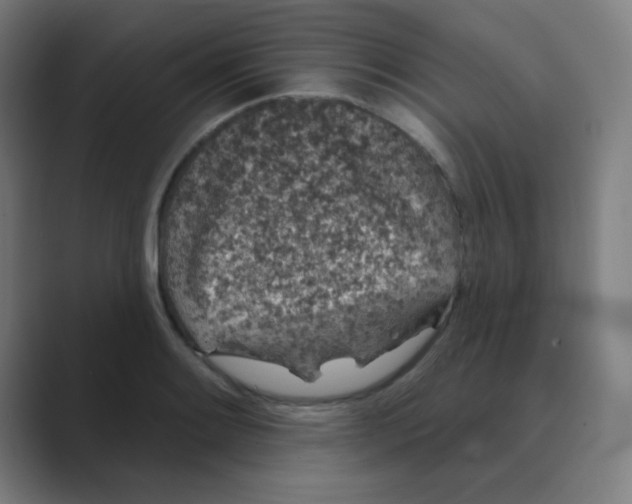 X0000088671084200706281917
