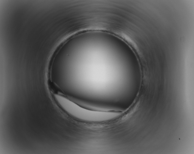 X0000088671085200706281917