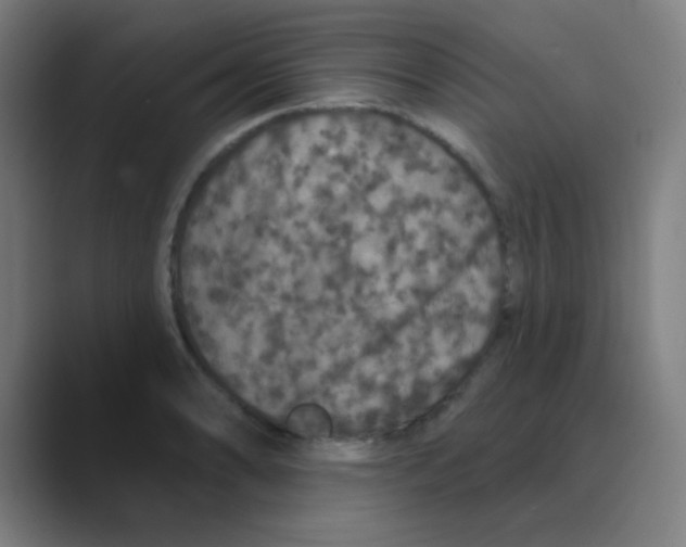X0000088671086200706281917
