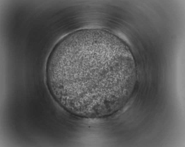 X0000088671087200706281917