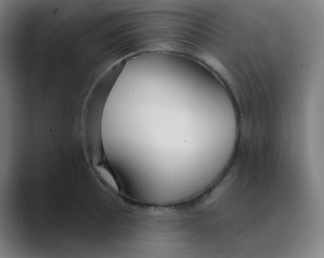X0000088671089200706281917