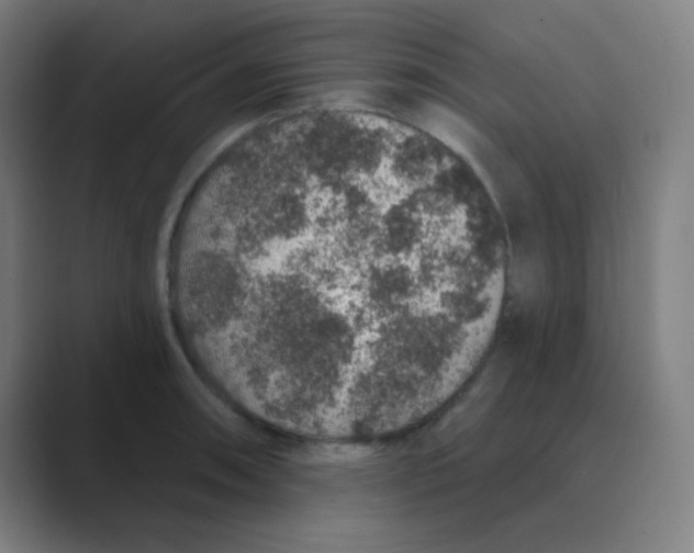 X0000088671090200706281917