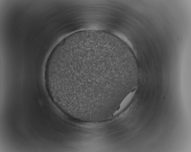 X0000088671091200706281917