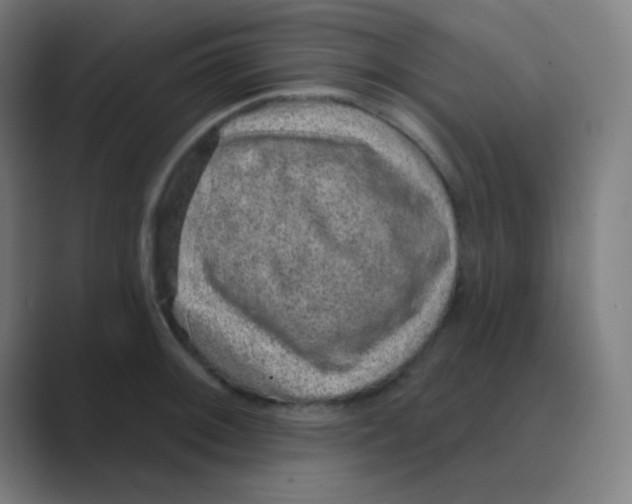 X0000088671092200706281917