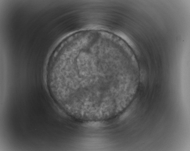 X0000088671094200706281917