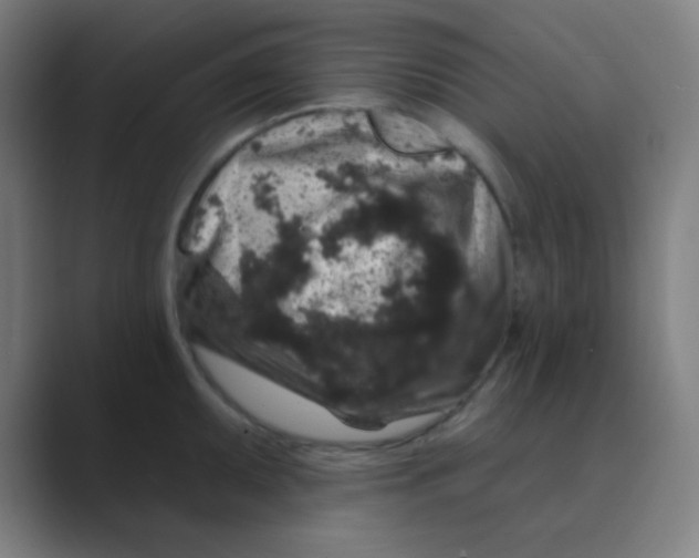 X0000088671095200706281917