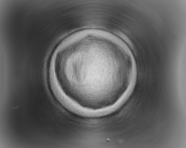 X0000088671096200706281916