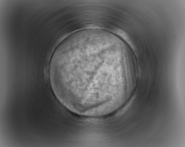 X0000088671097200706281916