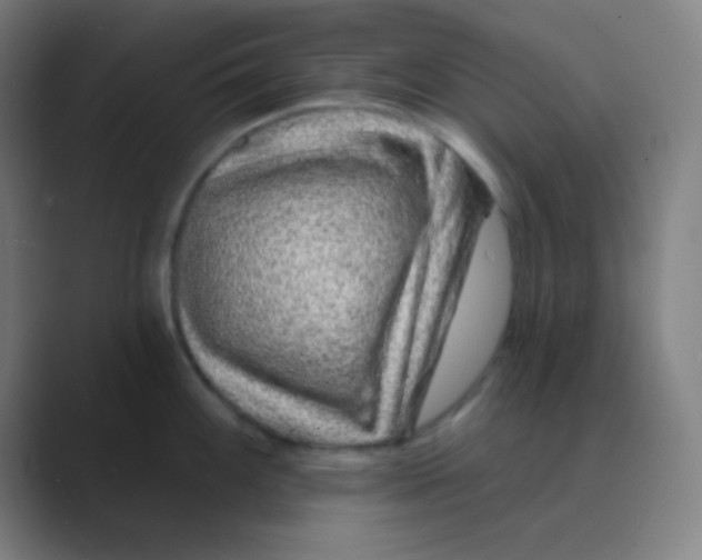 X0000088671100200706281916