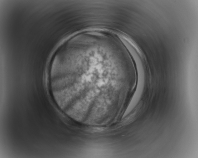X0000088671101200706281916
