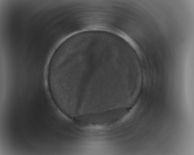 X0000088671102200706281916