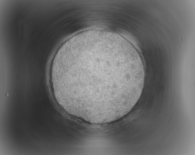 X0000088671104200706281916