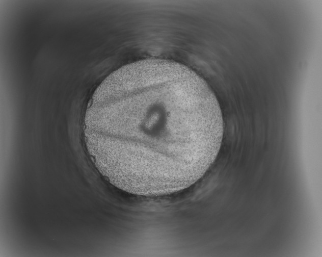 X0000088671105200706281916
