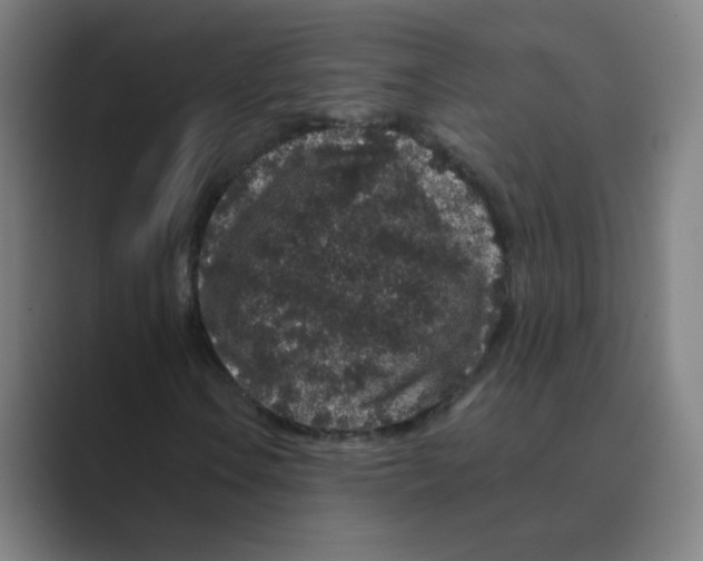 X0000088671106200706281916