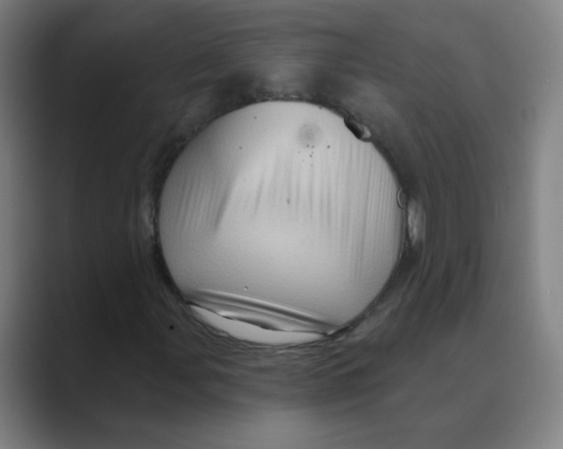 X0000088671107200706281916