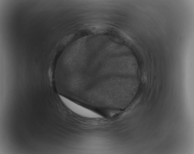 X0000088671108200706281916