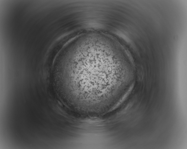 X0000088671112200706281916