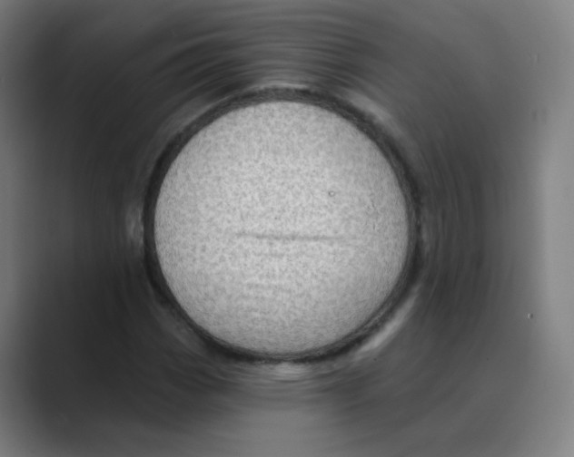X0000088671113200706281916