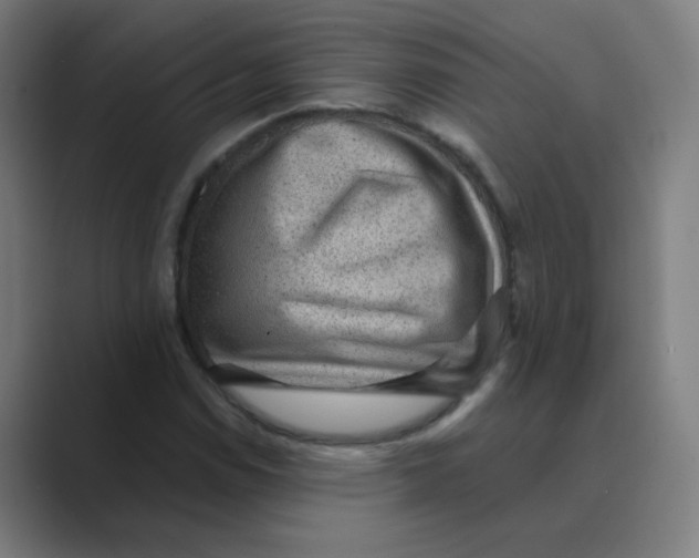 X0000088671114200706281916
