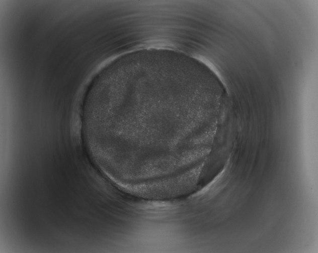 X0000088671115200706281916