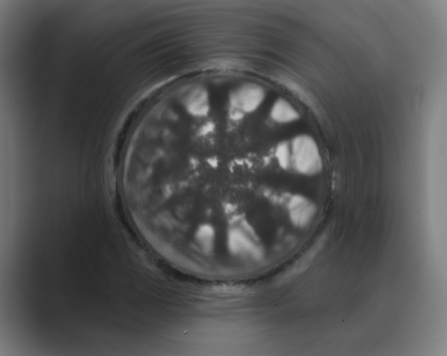 X0000088671117200706281916