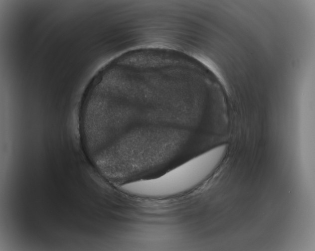 X0000088671120200706281916
