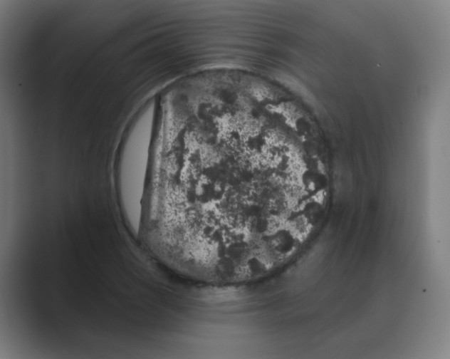 X0000088671121200706281916