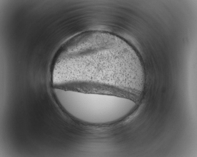 X0000088671125200706281916