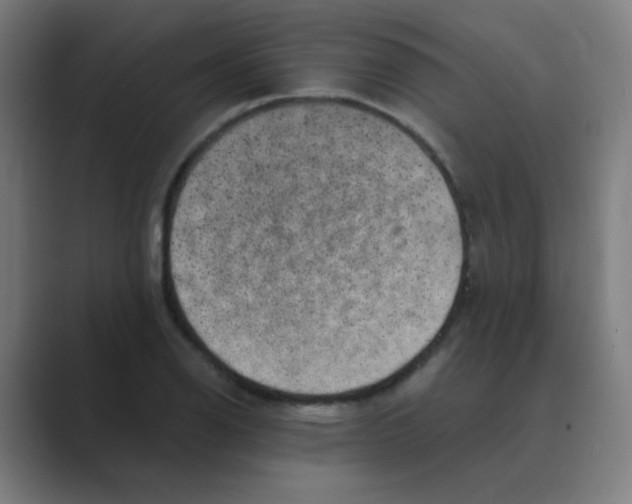 X0000088671126200706281916