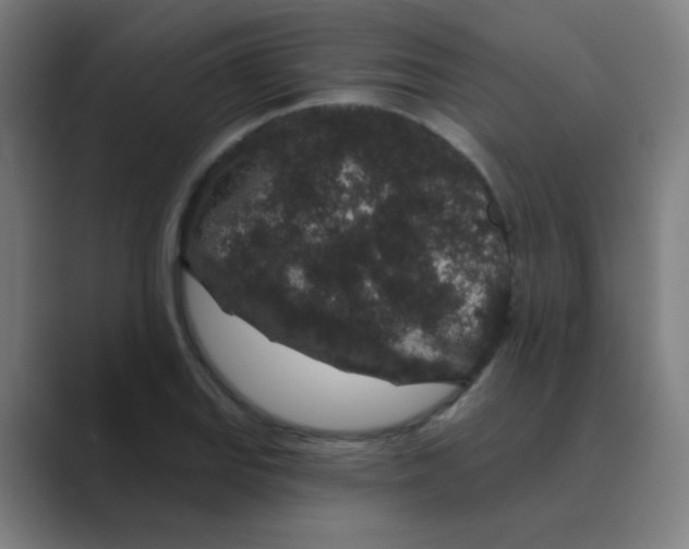 X0000088671127200706281916