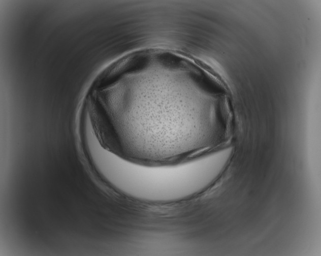 X0000088671128200706281916