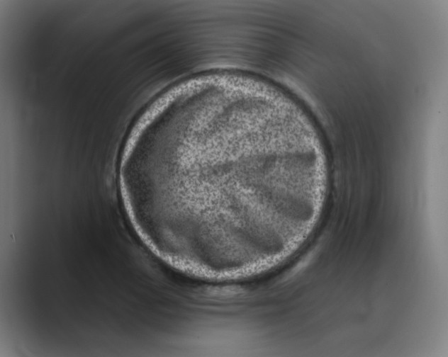 X0000088671129200706281916