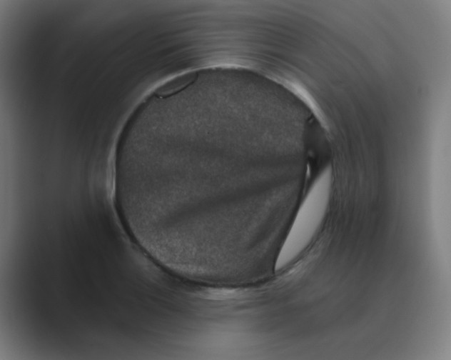 X0000088671132200706281916