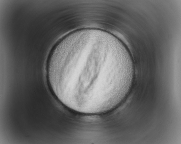 X0000088671133200706281916