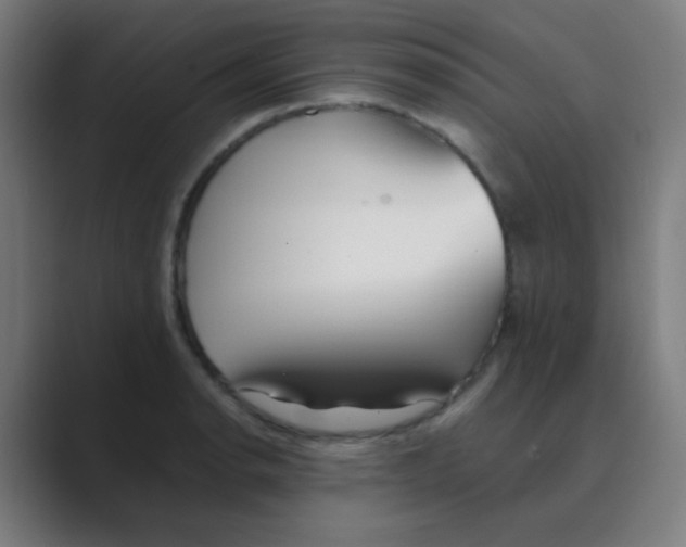 X0000088671134200706281916