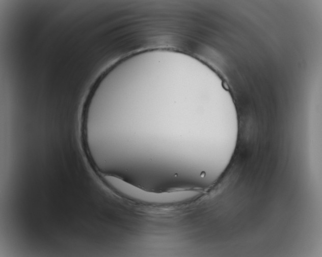 X0000088671135200706281916