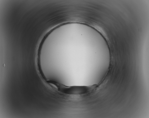 X0000088671136200706281916
