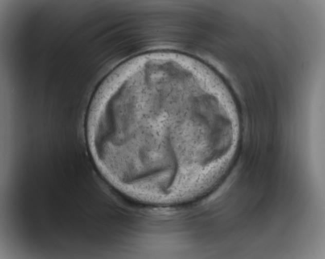 X0000088671137200706281916