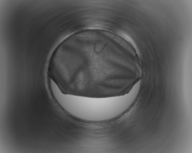 X0000088671138200706281916