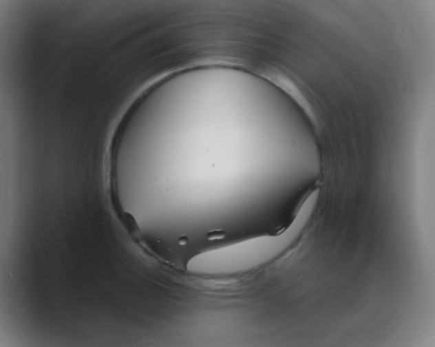 X0000088671140200706281916